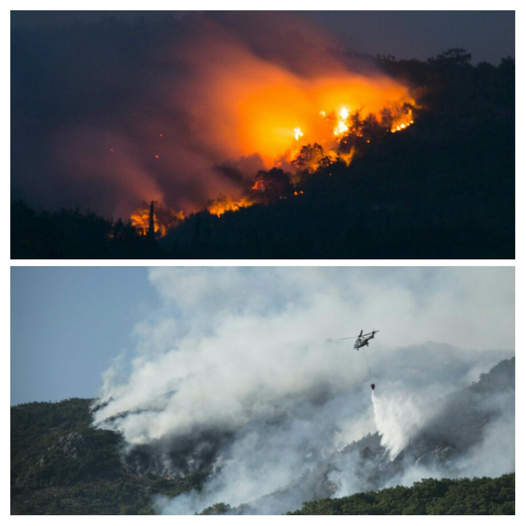 Forest Fires, Herceg Novi